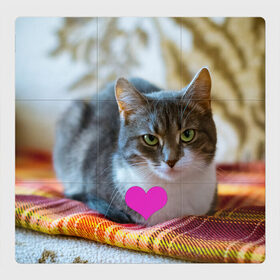 Магнитный плакат 3Х3 с принтом действительно любит меня , Полимерный материал с магнитным слоем | 9 деталей размером 9*9 см | взгляд | кот | кошатникам | любит меня | люблю его | люблю котов | одиночкам | плед | романтика | сердечко | сердце | уют