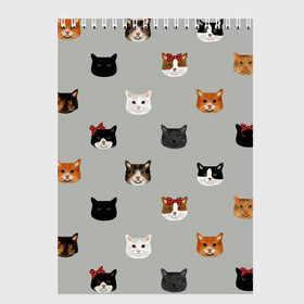 Скетчбук с принтом Кошечки , 100% бумага
 | 48 листов, плотность листов — 100 г/м2, плотность картонной обложки — 250 г/м2. Листы скреплены сверху удобной пружинной спиралью | Тематика изображения на принте: cat | cats | cosmos | kitten | mem | memes | rose | roses | глаза | глазки | киска | космос | кот | котёнок | котик | котики | котэ | котята | кошак | кошка | кошки | красивая | мем | мемчики | милая | прикольная | розы | светлая