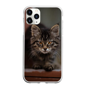 Чехол для iPhone 11 Pro матовый с принтом мой внутренний зверь , Силикон |  | взгляд | внутренний | глаза | животные | зверы | зверь | кот | котейка | котик | коты | котэ | кошки | лапы | нос | образ | прыжок | смотрит в душу | усы | уши | шерсть