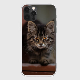 Чехол для iPhone 12 Pro Max с принтом мой внутренний зверь , Силикон |  | взгляд | внутренний | глаза | животные | зверы | зверь | кот | котейка | котик | коты | котэ | кошки | лапы | нос | образ | прыжок | смотрит в душу | усы | уши | шерсть
