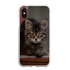 Чехол для iPhone XS Max матовый с принтом мой внутренний зверь , Силикон | Область печати: задняя сторона чехла, без боковых панелей | взгляд | внутренний | глаза | животные | зверы | зверь | кот | котейка | котик | коты | котэ | кошки | лапы | нос | образ | прыжок | смотрит в душу | усы | уши | шерсть