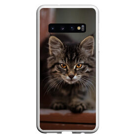 Чехол для Samsung Galaxy S10 с принтом мой внутренний зверь , Силикон | Область печати: задняя сторона чехла, без боковых панелей | взгляд | внутренний | глаза | животные | зверы | зверь | кот | котейка | котик | коты | котэ | кошки | лапы | нос | образ | прыжок | смотрит в душу | усы | уши | шерсть