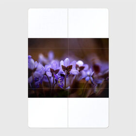 Магнитный плакат 2Х3 с принтом хрупкий цветок фиалка , Полимерный материал с магнитным слоем | 6 деталей размером 9*9 см | flowers | весна | лиловый | макро | нежный | природа | рост | свежесть | сиреневый | фиолетовый | хрупкий | цветик | цветок | цветочек | цветы