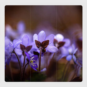 Магнитный плакат 3Х3 с принтом хрупкий цветок фиалка , Полимерный материал с магнитным слоем | 9 деталей размером 9*9 см | flowers | весна | лиловый | макро | нежный | природа | рост | свежесть | сиреневый | фиолетовый | хрупкий | цветик | цветок | цветочек | цветы