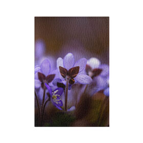 Обложка для паспорта матовая кожа с принтом хрупкий цветок фиалка , натуральная матовая кожа | размер 19,3 х 13,7 см; прозрачные пластиковые крепления | flowers | весна | лиловый | макро | нежный | природа | рост | свежесть | сиреневый | фиолетовый | хрупкий | цветик | цветок | цветочек | цветы