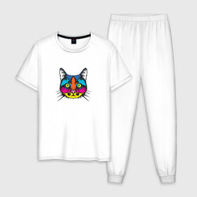 Мужская пижама хлопок с принтом Pop art Cat , 100% хлопок | брюки и футболка прямого кроя, без карманов, на брюках мягкая резинка на поясе и по низу штанин
 | art | cat | colors | paints | pop | riot | арт | буйство | буп | кот | кошка | краски | поп