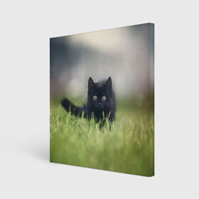 Холст квадратный с принтом черный кот на лугу , 100% ПВХ |  | взгляд | внутренний | глаза | животные | звери | зверь | кот | котейка | котик | коты | котэ | кошки | лапы | нос | образ | прыжок | смотрит в душу | усы | уши | черный | черныш | шерсть