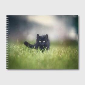 Альбом для рисования с принтом черный кот на лугу , 100% бумага
 | матовая бумага, плотность 200 мг. | взгляд | внутренний | глаза | животные | звери | зверь | кот | котейка | котик | коты | котэ | кошки | лапы | нос | образ | прыжок | смотрит в душу | усы | уши | черный | черныш | шерсть