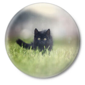 Значок с принтом черный кот на лугу ,  металл | круглая форма, металлическая застежка в виде булавки | взгляд | внутренний | глаза | животные | звери | зверь | кот | котейка | котик | коты | котэ | кошки | лапы | нос | образ | прыжок | смотрит в душу | усы | уши | черный | черныш | шерсть