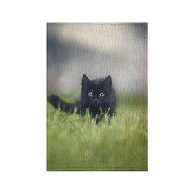 Обложка для паспорта матовая кожа с принтом черный кот на лугу , натуральная матовая кожа | размер 19,3 х 13,7 см; прозрачные пластиковые крепления | Тематика изображения на принте: взгляд | внутренний | глаза | животные | звери | зверь | кот | котейка | котик | коты | котэ | кошки | лапы | нос | образ | прыжок | смотрит в душу | усы | уши | черный | черныш | шерсть
