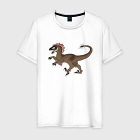 Мужская футболка хлопок с принтом Раптор , 100% хлопок | прямой крой, круглый вырез горловины, длина до линии бедер, слегка спущенное плечо. | дино | динозавр | динозавры | животные | звери | охотники динозавры | раптор | рапторы | тиранозавр | хищники животные
