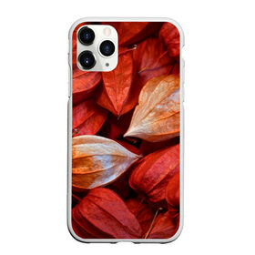 Чехол для iPhone 11 Pro матовый с принтом прекрасный красный физалис , Силикон |  | красноватый | красные коробочки | красный | листья | осень | прикольный | природа | растения | текстура | теплый | фезалис | физалис | фонарики