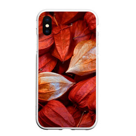 Чехол для iPhone XS Max матовый с принтом прекрасный красный физалис , Силикон | Область печати: задняя сторона чехла, без боковых панелей | красноватый | красные коробочки | красный | листья | осень | прикольный | природа | растения | текстура | теплый | фезалис | физалис | фонарики