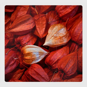 Магнитный плакат 3Х3 с принтом прекрасный красный физалис , Полимерный материал с магнитным слоем | 9 деталей размером 9*9 см | красноватый | красные коробочки | красный | листья | осень | прикольный | природа | растения | текстура | теплый | фезалис | физалис | фонарики