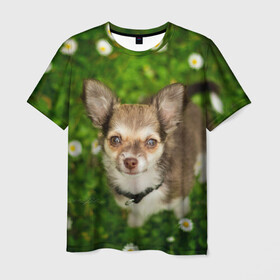 Мужская футболка 3D с принтом Маленькая собака в ромашках , 100% полиэфир | прямой крой, круглый вырез горловины, длина до линии бедер | домашний питомец | куст | луг | малыш | нос | песик | поле | ромашки | собака | собаколюб | собачка | собачникам | уши | цветы | четвероногий друг | щенок | язык