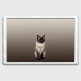 Магнит 45*70 с принтом Сиамский кот голубые глаза , Пластик | Размер: 78*52 мм; Размер печати: 70*45 | Тематика изображения на принте: арт | бежевый | градиент | киса | коричневый | кот | котейка | котенок | котик | котэ | кошка | реализм | сиамец | сиамский