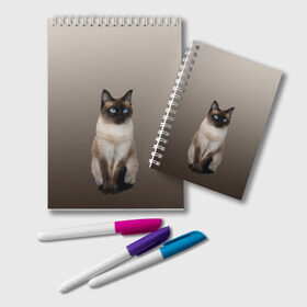 Блокнот с принтом Сиамский кот голубые глаза , 100% бумага | 48 листов, плотность листов — 60 г/м2, плотность картонной обложки — 250 г/м2. Листы скреплены удобной пружинной спиралью. Цвет линий — светло-серый
 | арт | бежевый | градиент | киса | коричневый | кот | котейка | котенок | котик | котэ | кошка | реализм | сиамец | сиамский