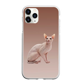 Чехол для iPhone 11 Pro матовый с принтом Лысый кот сфинкс , Силикон |  | арт | бежевый | без шерсти | градиент | домашний питомец | киса | кот | котейка | котенок | котик | котэ | кошка | лысый | реализм | складки кожи | сфинкс | экзотика