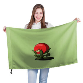 Флаг 3D с принтом Мистер Помидор , 100% полиэстер | плотность ткани — 95 г/м2, размер — 67 х 109 см. Принт наносится с одной стороны | графика | мир растений | овощи | персонаж | помидор | природа | рисунок | томат