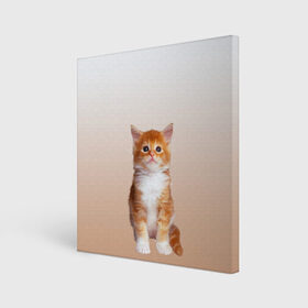 Холст квадратный с принтом бело-рыжий котенок реализм , 100% ПВХ |  | cat | kitten | бело рыжий | градиент | кот | котейка | котенок | котеночек | котик | котофей | котэ | кошка | малыш | милаш | мяу | нэко | реализм | рыже белый