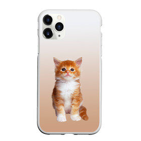 Чехол для iPhone 11 Pro матовый с принтом бело-рыжий котенок реализм , Силикон |  | cat | kitten | бело рыжий | градиент | кот | котейка | котенок | котеночек | котик | котофей | котэ | кошка | малыш | милаш | мяу | нэко | реализм | рыже белый