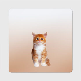 Магнит виниловый Квадрат с принтом бело-рыжий котенок реализм , полимерный материал с магнитным слоем | размер 9*9 см, закругленные углы | Тематика изображения на принте: cat | kitten | бело рыжий | градиент | кот | котейка | котенок | котеночек | котик | котофей | котэ | кошка | малыш | милаш | мяу | нэко | реализм | рыже белый