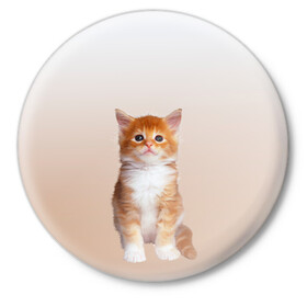 Значок с принтом бело-рыжий котенок реализм ,  металл | круглая форма, металлическая застежка в виде булавки | cat | kitten | бело рыжий | градиент | кот | котейка | котенок | котеночек | котик | котофей | котэ | кошка | малыш | милаш | мяу | нэко | реализм | рыже белый