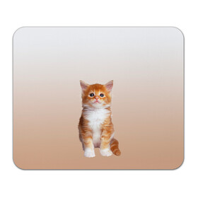 Коврик для мышки прямоугольный с принтом бело-рыжий котенок реализм , натуральный каучук | размер 230 х 185 мм; запечатка лицевой стороны | Тематика изображения на принте: cat | kitten | бело рыжий | градиент | кот | котейка | котенок | котеночек | котик | котофей | котэ | кошка | малыш | милаш | мяу | нэко | реализм | рыже белый