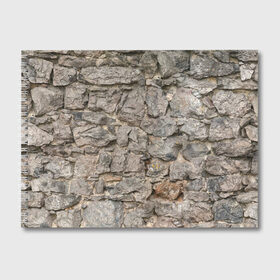 Альбом для рисования с принтом Сломанная стена , 100% бумага
 | матовая бумага, плотность 200 мг. | Тематика изображения на принте: абстракция | камни | стена | текстура | фон