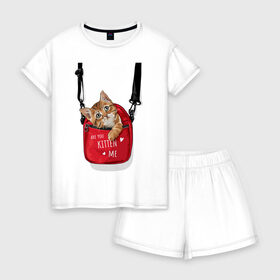 Женская пижама с шортиками хлопок с принтом Are you kitten(kidding) me? , 100% хлопок | футболка прямого кроя, шорты свободные с широкой мягкой резинкой | кот | котик | милый | рюкзак | слова | фраза | хипстер