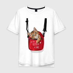 Мужская футболка хлопок Oversize с принтом Are you kitten(kidding) me? , 100% хлопок | свободный крой, круглый ворот, “спинка” длиннее передней части | кот | котик | милый | рюкзак | слова | фраза | хипстер