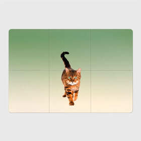 Магнитный плакат 3Х2 с принтом короткошерстный кот идет , Полимерный материал с магнитным слоем | 6 деталей размером 9*9 см | cat | kitten | большой | градиент | зеленые глаза | идет | камышовый | короткошерстный | кот | котейка | котик | кошка | любопытный | мяу | полоски | породистый | реалистичный | рыжий | фото