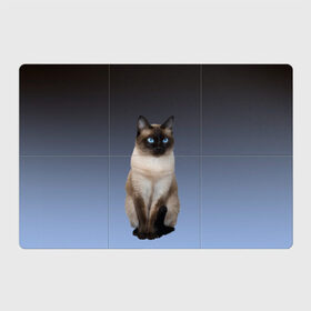 Магнитный плакат 3Х2 с принтом сиамская милая кошечка , Полимерный материал с магнитным слоем | 6 деталей размером 9*9 см | Тематика изображения на принте: cat | kitten | голубые глаза | градиент | кот | котейка | котик | кошечка | кошка | милая | мяу | сиамская | сиамский