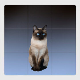 Магнитный плакат 3Х3 с принтом сиамская милая кошечка , Полимерный материал с магнитным слоем | 9 деталей размером 9*9 см | Тематика изображения на принте: cat | kitten | голубые глаза | градиент | кот | котейка | котик | кошечка | кошка | милая | мяу | сиамская | сиамский