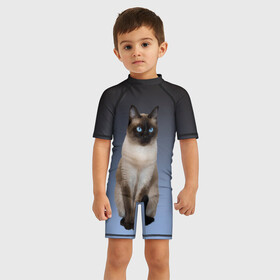 Детский купальный костюм 3D с принтом сиамская милая кошечка , Полиэстер 85%, Спандекс 15% | застежка на молнии на спине | cat | kitten | голубые глаза | градиент | кот | котейка | котик | кошечка | кошка | милая | мяу | сиамская | сиамский