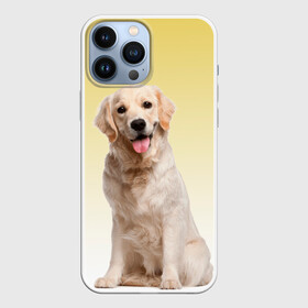 Чехол для iPhone 13 Pro Max с принтом Лабрадор ретривер пес ,  |  | домашние любимцы | друг | животные | золотистый ретривер | лабрадор | пес | питомец | породистый | собака
