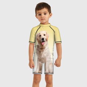 Детский купальный костюм 3D с принтом Лабрадор ретривер пес , Полиэстер 85%, Спандекс 15% | застежка на молнии на спине | домашние любимцы | друг | животные | золотистый ретривер | лабрадор | пес | питомец | породистый | собака