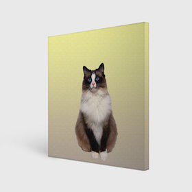 Холст квадратный с принтом персидская пушистая кошка , 100% ПВХ |  | ветеринар | градиент | домашний питомец | котейка | котик | коты | котэ | кошатник | кошатница | кошачьи | кошки | любитель животных | мяу | нэко | персидская | сиамская | смесь | шаблон