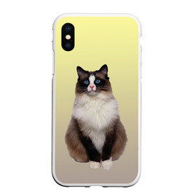 Чехол для iPhone XS Max матовый с принтом персидская пушистая кошка , Силикон | Область печати: задняя сторона чехла, без боковых панелей | ветеринар | градиент | домашний питомец | котейка | котик | коты | котэ | кошатник | кошатница | кошачьи | кошки | любитель животных | мяу | нэко | персидская | сиамская | смесь | шаблон