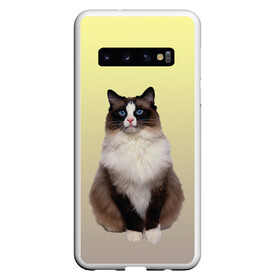 Чехол для Samsung Galaxy S10 с принтом персидская пушистая кошка , Силикон | Область печати: задняя сторона чехла, без боковых панелей | ветеринар | градиент | домашний питомец | котейка | котик | коты | котэ | кошатник | кошатница | кошачьи | кошки | любитель животных | мяу | нэко | персидская | сиамская | смесь | шаблон
