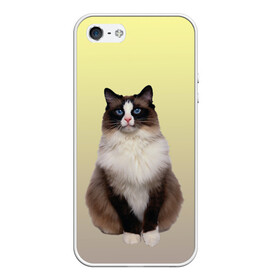 Чехол для iPhone 5/5S матовый с принтом персидская пушистая кошка , Силикон | Область печати: задняя сторона чехла, без боковых панелей | ветеринар | градиент | домашний питомец | котейка | котик | коты | котэ | кошатник | кошатница | кошачьи | кошки | любитель животных | мяу | нэко | персидская | сиамская | смесь | шаблон