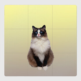 Магнитный плакат 3Х3 с принтом персидская пушистая кошка , Полимерный материал с магнитным слоем | 9 деталей размером 9*9 см | ветеринар | градиент | домашний питомец | котейка | котик | коты | котэ | кошатник | кошатница | кошачьи | кошки | любитель животных | мяу | нэко | персидская | сиамская | смесь | шаблон