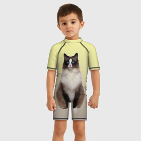 Детский купальный костюм 3D с принтом персидская пушистая кошка , Полиэстер 85%, Спандекс 15% | застежка на молнии на спине | ветеринар | градиент | домашний питомец | котейка | котик | коты | котэ | кошатник | кошатница | кошачьи | кошки | любитель животных | мяу | нэко | персидская | сиамская | смесь | шаблон