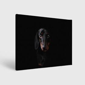 Холст прямоугольный с принтом ТАКСА , 100% ПВХ |  | animal | black | dog | photo | глаза | домашние | животные | звери | пес | собакен | собаки | такса | черный