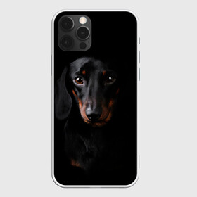 Чехол для iPhone 12 Pro Max с принтом ТАКСА , Силикон |  | Тематика изображения на принте: animal | black | dog | photo | глаза | домашние | животные | звери | пес | собакен | собаки | такса | черный