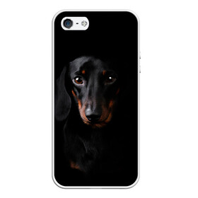 Чехол для iPhone 5/5S матовый с принтом ТАКСА , Силикон | Область печати: задняя сторона чехла, без боковых панелей | Тематика изображения на принте: animal | black | dog | photo | глаза | домашние | животные | звери | пес | собакен | собаки | такса | черный