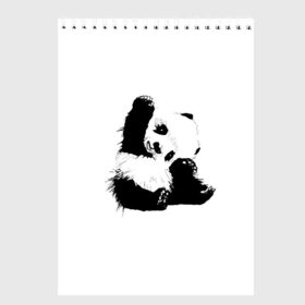 Скетчбук с принтом Панда минимализм , 100% бумага
 | 48 листов, плотность листов — 100 г/м2, плотность картонной обложки — 250 г/м2. Листы скреплены сверху удобной пружинной спиралью | Тематика изображения на принте: animal | bear | beast | black | minimalism | panda | white | белое | животное | зверь | краски | медведь | минимализм | панда | чернила | черно белое | черное