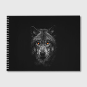 Альбом для рисования с принтом Evil Wolf , 100% бумага
 | матовая бумага, плотность 200 мг. | Тематика изображения на принте: animal | beast | dark | darkness | evil | moon | nigth | tegunvteg | werwolf | wild | wolf | вервольф | вой | волк | волки | волчара | дикий | животное | зверь | клык | клыки | луна | ночь | оборотень | полнолуние