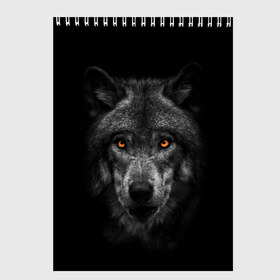 Скетчбук с принтом Evil Wolf , 100% бумага
 | 48 листов, плотность листов — 100 г/м2, плотность картонной обложки — 250 г/м2. Листы скреплены сверху удобной пружинной спиралью | animal | beast | dark | darkness | evil | moon | nigth | tegunvteg | werwolf | wild | wolf | вервольф | вой | волк | волки | волчара | дикий | животное | зверь | клык | клыки | луна | ночь | оборотень | полнолуние