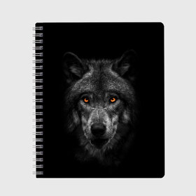 Тетрадь с принтом Evil Wolf , 100% бумага | 48 листов, плотность листов — 60 г/м2, плотность картонной обложки — 250 г/м2. Листы скреплены сбоку удобной пружинной спиралью. Уголки страниц и обложки скругленные. Цвет линий — светло-серый
 | animal | beast | dark | darkness | evil | moon | nigth | tegunvteg | werwolf | wild | wolf | вервольф | вой | волк | волки | волчара | дикий | животное | зверь | клык | клыки | луна | ночь | оборотень | полнолуние